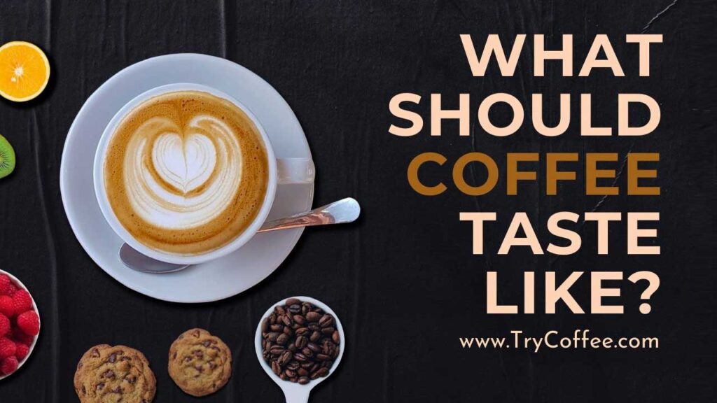 What Should Coffee Taste Like The Real Taste Try Coffee