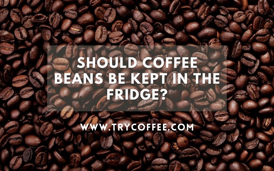 Should Coffee Beans Be Kept in the Fridge? (Is It Bad?) Try Coffee