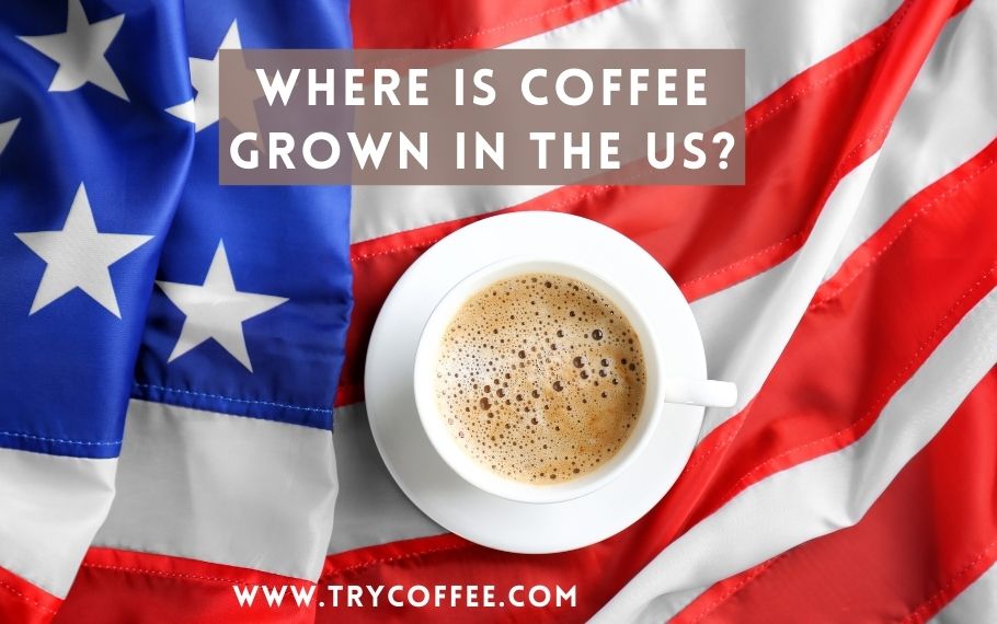 where-is-coffee-grown-in-the-us-location-category-try-coffee